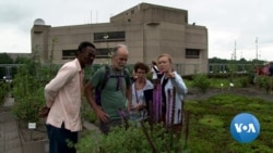 Green Roofs Benefit People, Environment