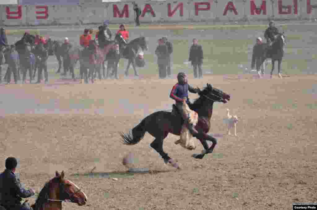 Qirg&#39;izistonda Navro&#39;z bayrami ko&#39;pkarisiz o&#39;tmaydi.