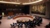 UN Members Elect 5 Countries to Security Council