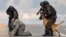 Members of the Turkish police special unit handle a trained dog as they arrest a man during an anti-terror drill as part of a security exercise in western Turkey.