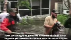 Спасти самых беззащитных