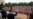 Chinese President Xi given red carpet welcome in Serbian capital