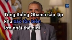 Tổng thống Obama sắp lập khu bảo tồn biển lớn nhất thế giới