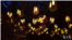 洛杉磯舉辦“南瓜之夜”慶祝萬聖節。（視頻截圖）