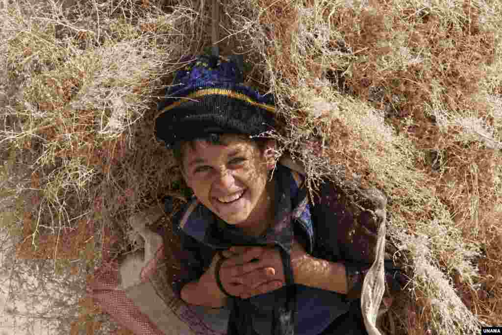 مسوولان وزارت کار و امور اجتماعی افغانستان می&zwnj;گویند که در حدود ۱.۲ میلیون کودک در این کشور مشغول کارهای شاقه&zwnj;اند.