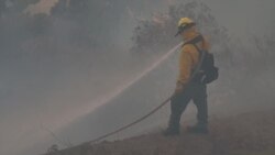 Los Angeles tasuma ye môgô 24 faga