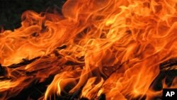 هیوا سه‌لیمی ده‌ڵێت به‌ڵگه‌ هه‌یه‌ هێزه‌ ئاسایشیـیه‌کانی ئێران به‌ مه‌به‌ست ئاگر به‌ر ده‌ده‌نه‌ شوێنه‌ کوردیه‌کان