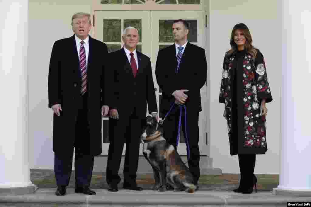 President Donald Trump, Vice President Mike Pence and First Lady Melania Trump present Conan, the military working dog injured in the successful operation targeting Islamic State leader Abu Bakr al-Baghdadi, before the media in the Rose Garden at the White House in Washington.