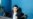 Suspected Taliban Kill Afghan Radio Station Manager, Kidnap Journalist, Officials Say