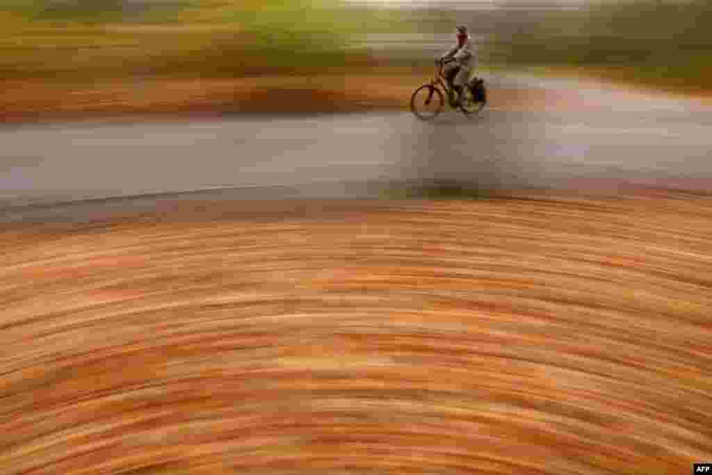 Fallen leaves cover the undergrowth as a commuter on a bicycle makes her way through the Tiergarten park in central Berlin, Germany.