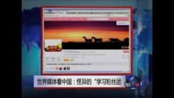 世界媒体看中国：怪异的“学习粉丝团”