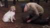 Dog trainer Jim Sanford searches for the truffle his Lagotto Romangnolo (Italian truffle dog) has just alerted him to. (VOA/T.Banse)