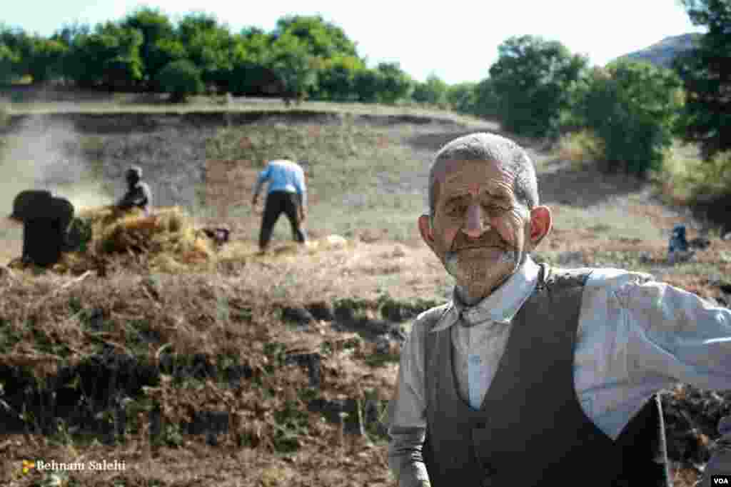 کشاورزان در سیاهکل، استان گیلان عکس: بهنام صالحی(ارسالی شما) 
