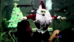 ထူးခြားဆန်းပြား သတင်းများ