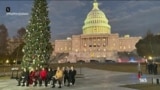 آمریکا از لنز دوربین - سنت دیرین تزئین درخت کریسمس در مقابل کنگره