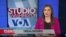 Studio Washington