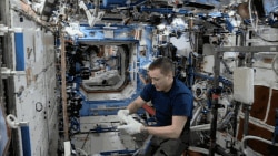 NASA astronaut Jack Fischer collects an environmental sample from the ceiling of the International Space Station in 2017 for the Microbial Tracking-2 study. (Credits: NASA)