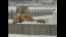 美国东部遭遇暴风雪 民生受到严重影响