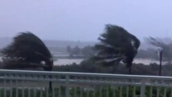Árboles azotados por los fuertes vientos del huracán Isaias en Las Bahamas, el sábado 1 de agosto de 2020.