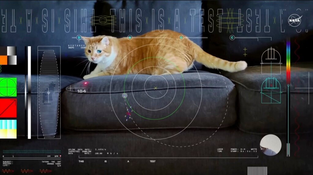 Cat Steals the Show in Video Sent by Laser from Space