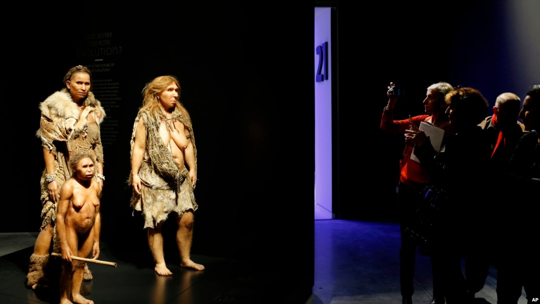 FILE - Visitors take pictures of models representing Flores, human and Neanderthal women in the "Musee des Confluences," a new science and anthropology museum in Lyon, central France, Dec. 18, 2014. 