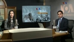 بي بي شیرینه – وي او اې ډيوه په ټیلې ویژن