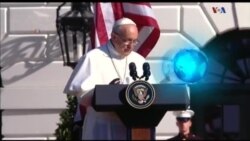 اخبار شامگاهی