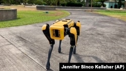 Robotic Police Dogs