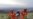 China Probes Deaths of 21 Runners After Freak Weather Hits Ultra-marathon