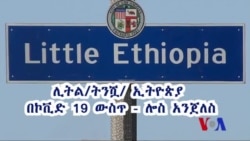 ሊትል /ትንሿ/ ኢትዮጵያ በኮቪድ 19 ውስጥ - ሎስ አንጀለስ