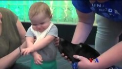 စိတ်ပျော်ရွှင်စေမယ့် လေဆိပ်ကခွေးလေးတွေ