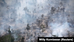 Asap menutupi hutan saat kebakaran di Kabupaten Kapuas dekat Palangka Raya di Provinsi Kalimantan Tengah, 30 September 2019. (Foto: REUTERS/Willy Kurniawan)