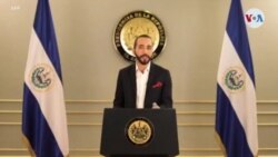 Discurso Nayib Bukele