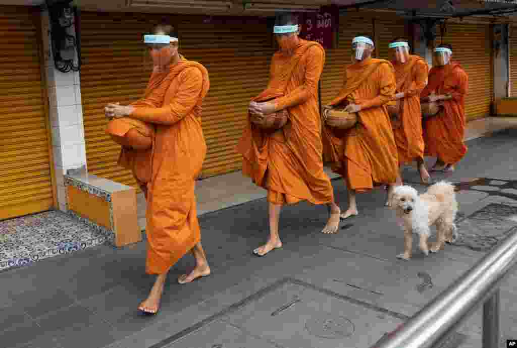Buddhist monks wear face shields to protect themselves from new coronavirus as they walk to collect alms from devotees in Bangkok, Thailand.