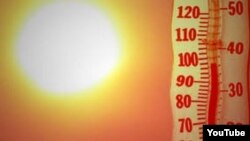 Global temperatures were the highest last year since two U.S. government agencies began collecting the data in 1880.