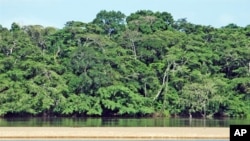 Le Parc National de Dzanga-Ndoki et La Réserve Spéciale de Forêt Dense de Dzanga-Sangha