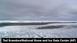 This January 2017 photo provided by Ted Scambos shows sea ice on the ocean surrounding Antarctica during an expedition to the Ross Sea.