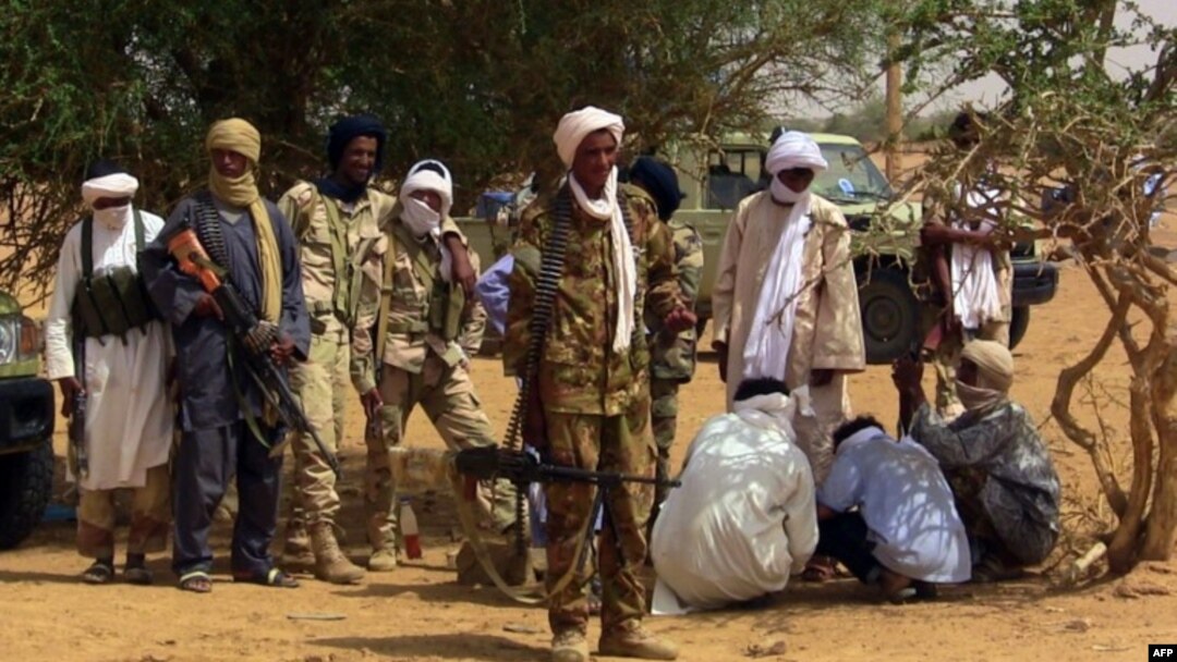 Report: Pro-Government Militia Takes Control of Northern Malian City
