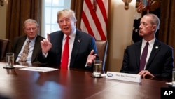 President Donald Trump speaks during a meeting with Republican members of Congress on immigration in the Cabinet Room of the White House, June 20, 2018, in Washington.