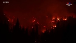 Կալիֆորնիայի անտառներում արագ բռնկվող հրդեհներ են