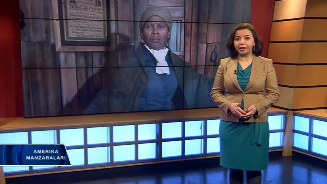 DDF porno video eng seksual boshliqlar