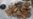 Ancient Tools Show Mysterious Humans Occupied Indonesian Island