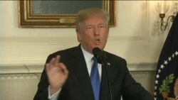 اخبار شامگاهی