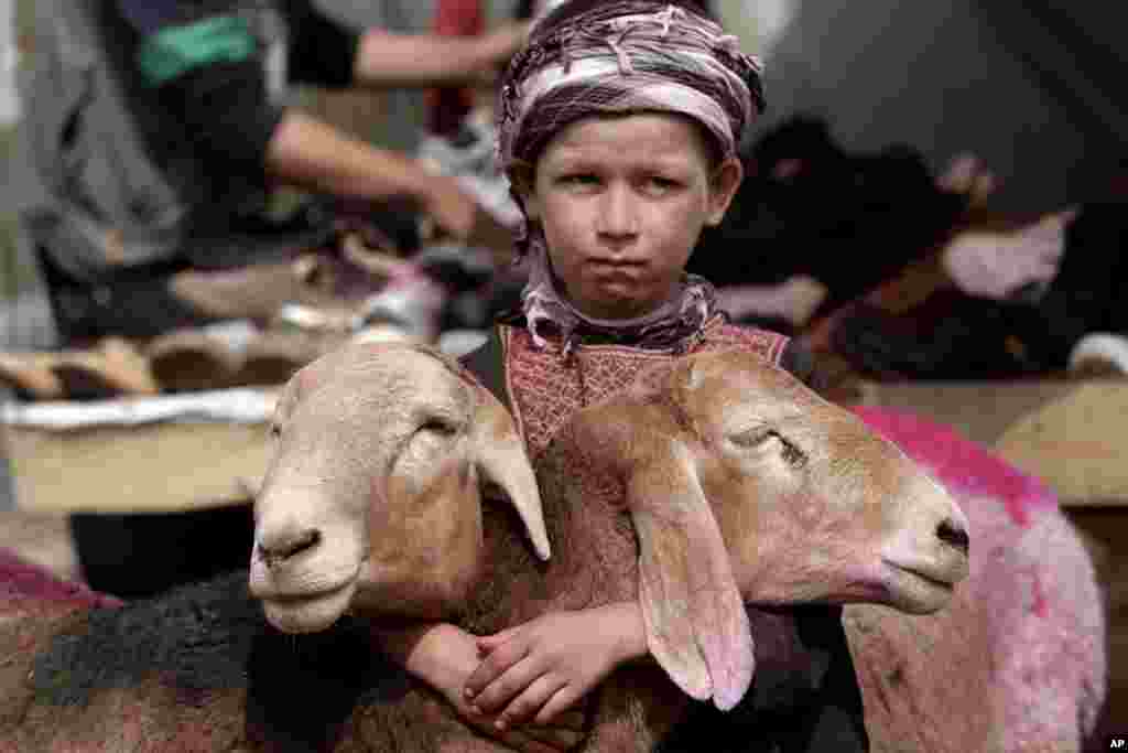 Seorang anak laki-laki Afghanistan membantu orangtuanya menunggu pelanggan yang akan membeli hewan kurban menjelang Idul-Adha di pinggiran Kabul, Afghanistan. 