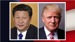 Trump နဲ့ Xi နှစ်နိုင်ငံ အကျိုးတူ ကိစ္စရပ်တွေ ဆွေးနွေးမည်