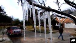 Cold temperatures and a lawn sprinkler create icicle on a tree in Richardson, Texas on Jan. 8, 2025, ahead of a winter storm expected to hit the North Texas region on Jan. 9.