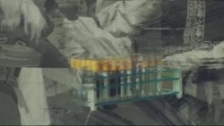 لویه پښتونخوا په ټي وي
