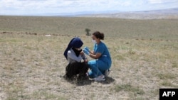 A health worker traveled hundreds of kilometers on July 8, 2021 to get things done. She gave COVID-19 shots to farmworkers in the village of Oguzlar in Turkey. (Photo by Adem ALTAN / AFP)