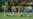 Brazil Captures Gold Medal in Olympic Soccer Competition
