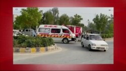 د ډیوه د روانو چارو خپرونه په ټي وي
